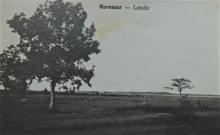 Loode - Old